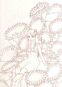Croquis